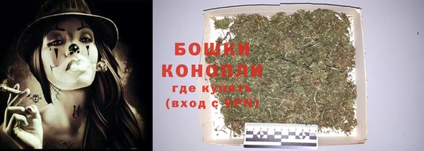 прущий лед Каменка