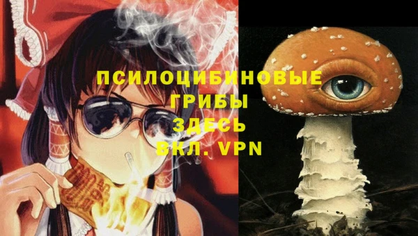 прущий лед Каменка