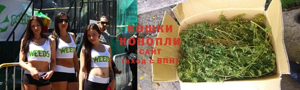 прущий лед Каменка