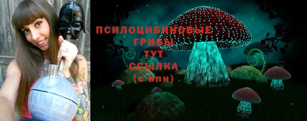 a pvp Каменск-Шахтинский